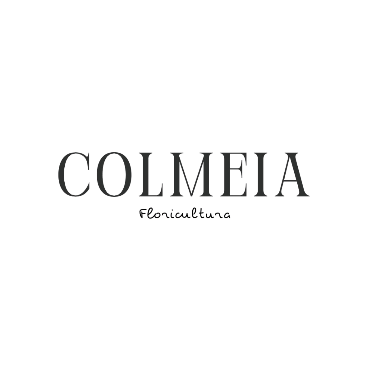 Colmeia Floricultura